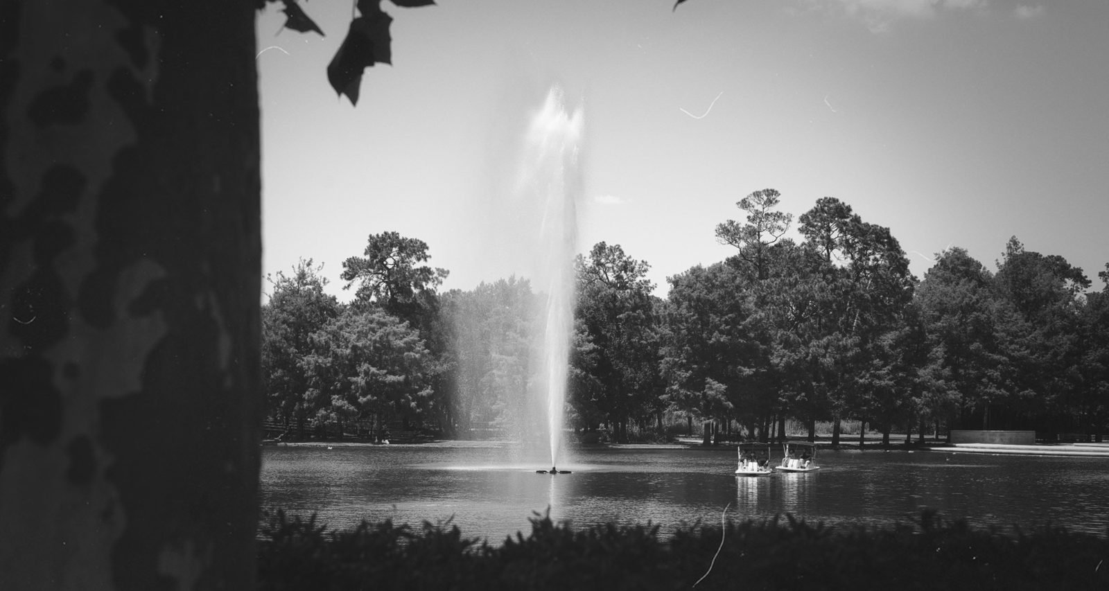 Fuente en el parque en blanco y negro
